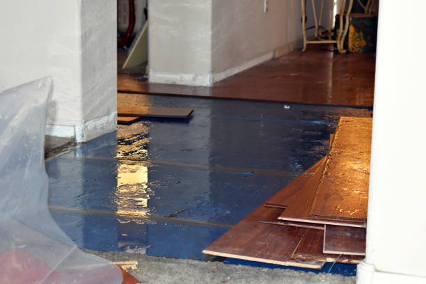 Professional Burst Pipe Cleanup technician working in Kittery Point, ME